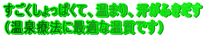 ςāA܂AӂiÖ@ɍœKȉłj